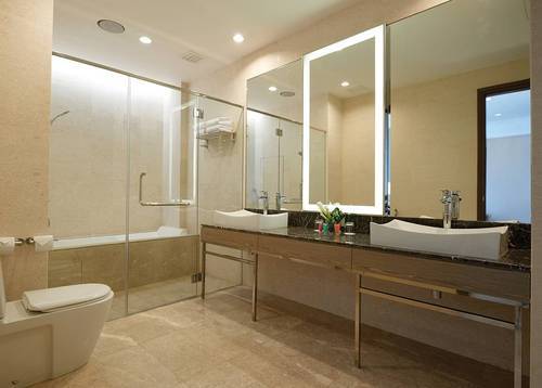 公寓房（浴室） 宽敞的浴室以大理石精心铸造而成。