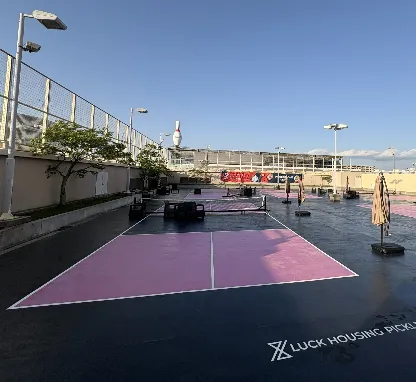 Image of Luck Housing Pickleball Base Osaka