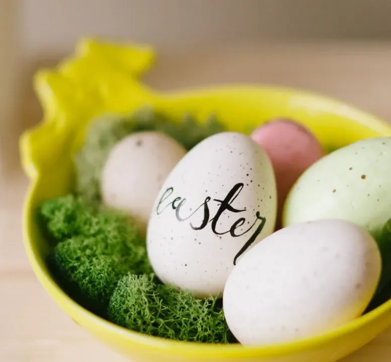 Easter Egg-citement Package