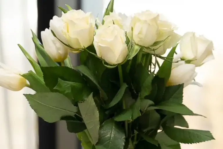 Valentine’s Package