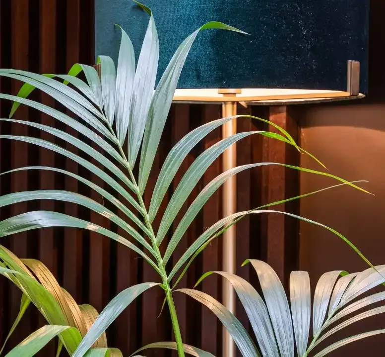 Our Sustainability Policy