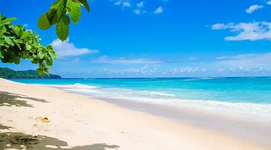Golden sand beach next to ocean
