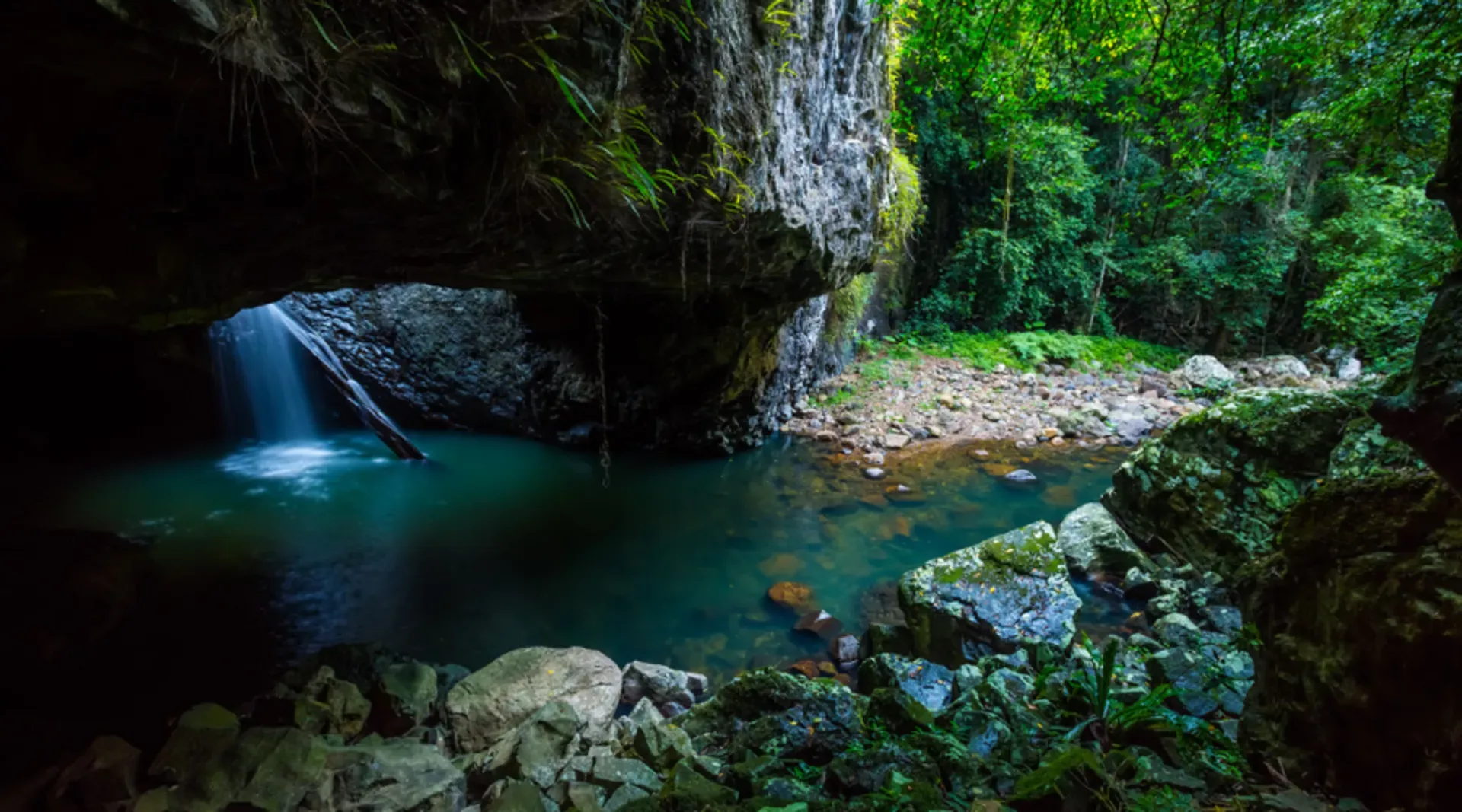 Lush greenery, rockpool, and waterfall at Springbrook National Park