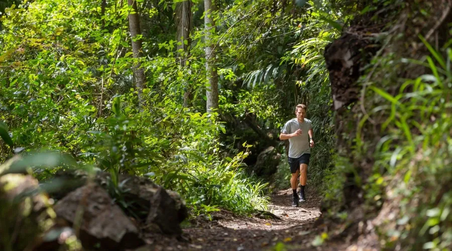 Man running along dirt path in rainforest 