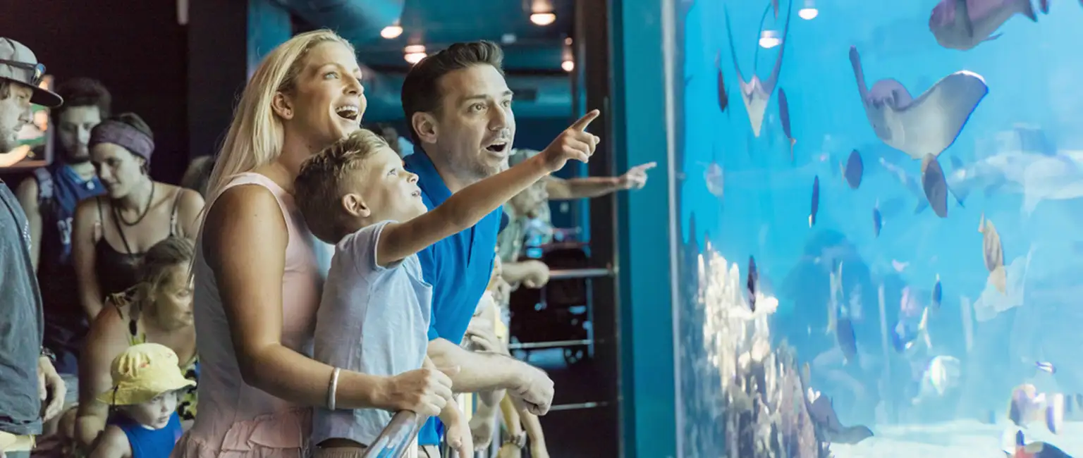 Popular Gold Coast Attractions to Add to Your Bucket List This Winter