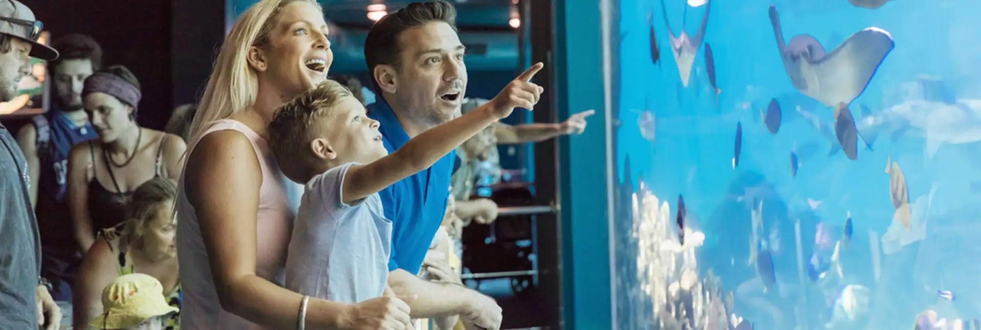 Popular Gold Coast Attractions to Add to Your Bucket List This Winter