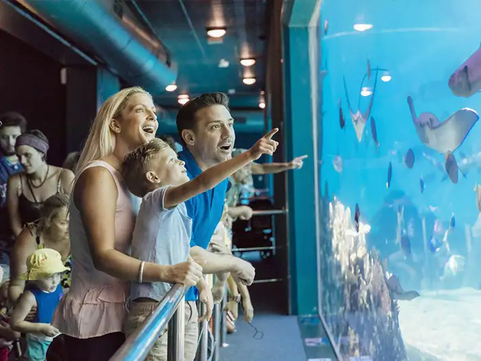 Popular Gold Coast Attractions to Add to Your Bucket List This Winter