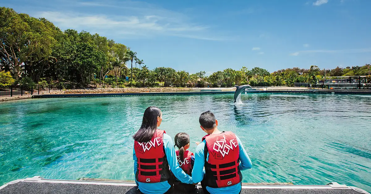 Family watching dolphins poolside at Seaworld
