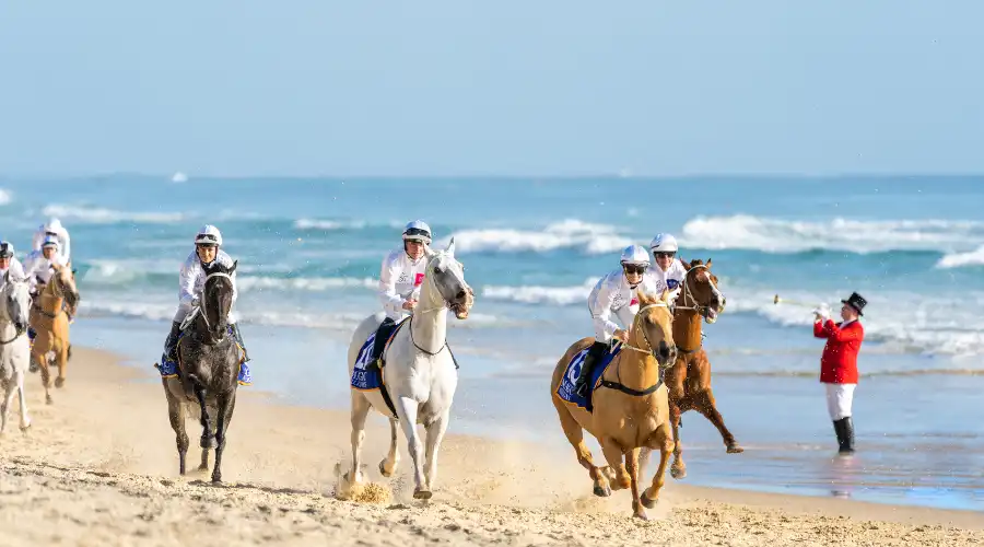 Horses race on Surfers Paradise Beach