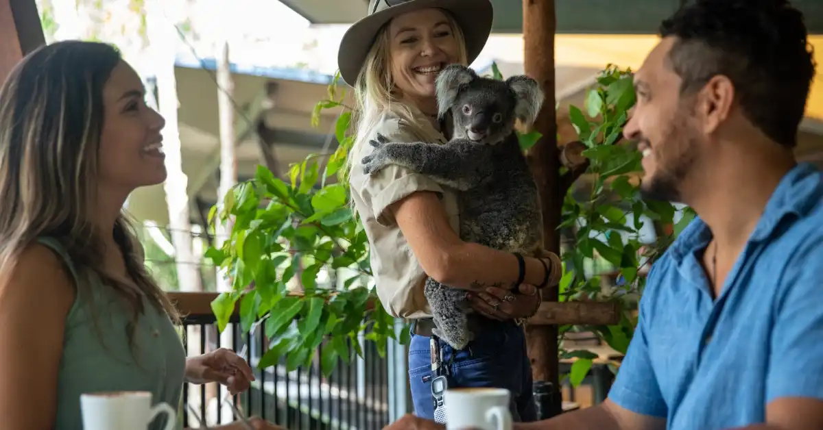 A couple enjoys the Koala Breakfast experience at Currumbin Wildlife Sanctuary 