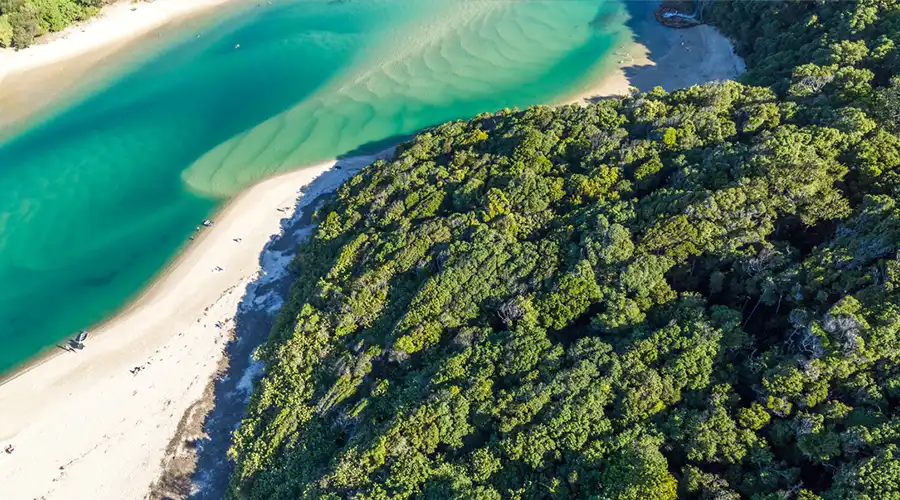 aerial view of Tallebudgera Creek