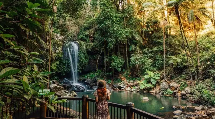 waterfall in Tamborine National Park