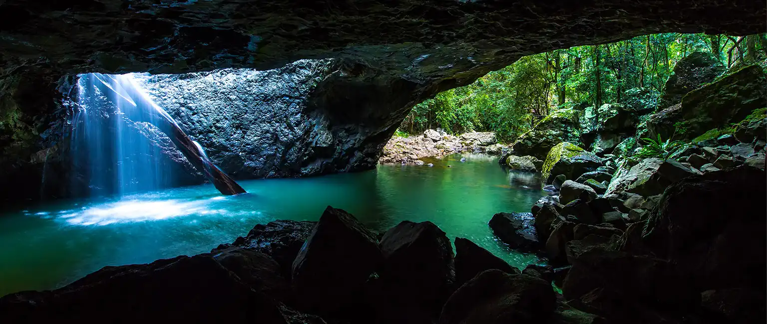 A Local's Guide to Springbrook National Park