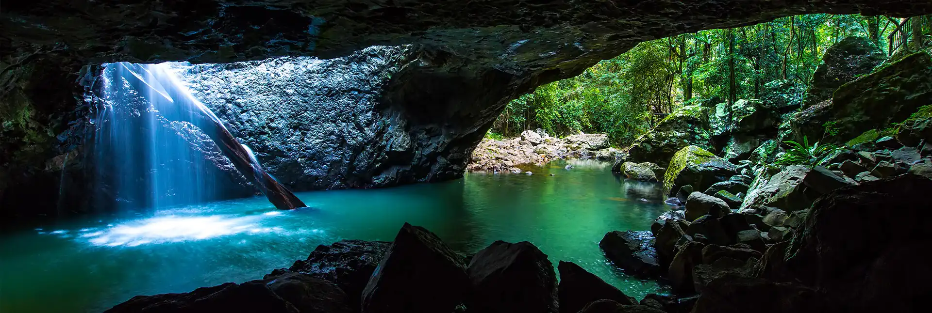 A Local's Guide to Springbrook National Park