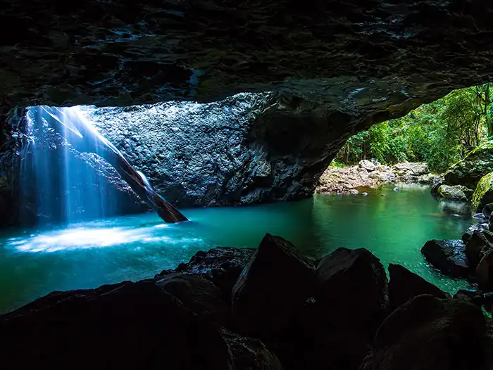 A Local's Guide to Springbrook National Park