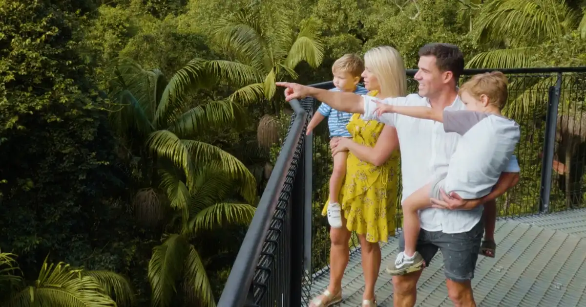 A family enjoys the view from the Tamborine Rainforest Skywalk