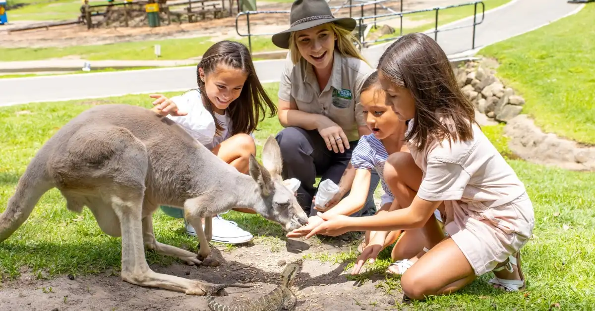 Three young girls and a ranger feed a kangaroo at Currumbin Wildlife Sanctuary