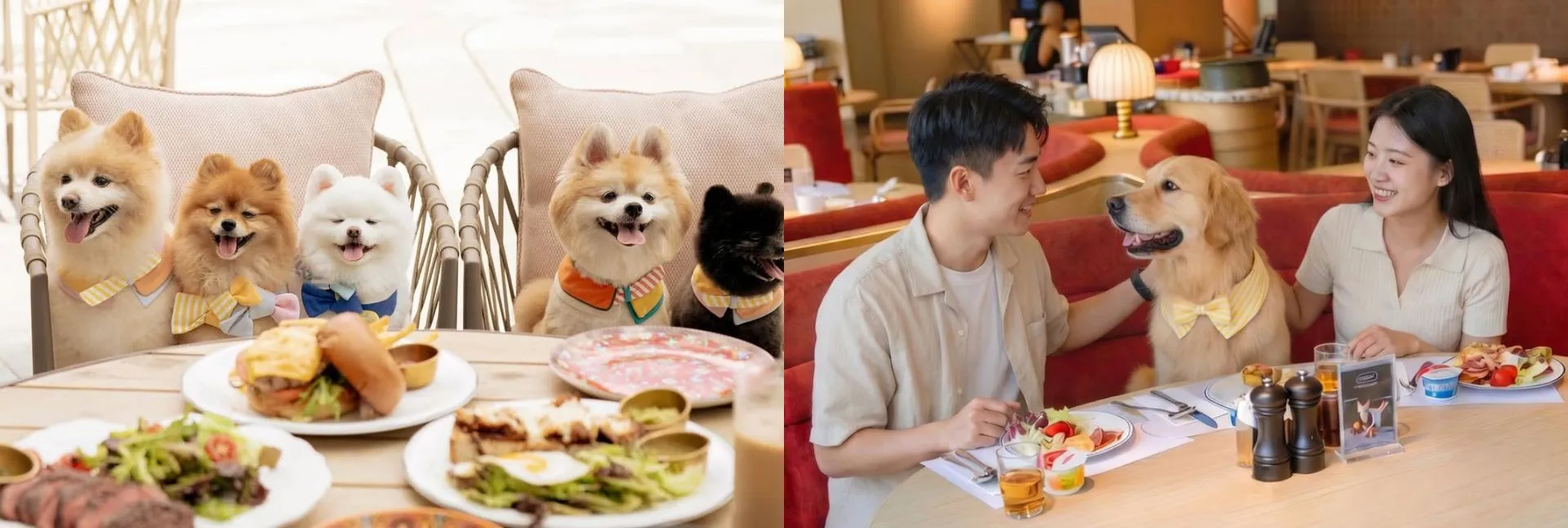 Pet-Friendly Dining - Indoor & Outdoor Dining Area