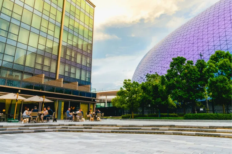 Pet-Friendly Dining- Outdoor Dining Area