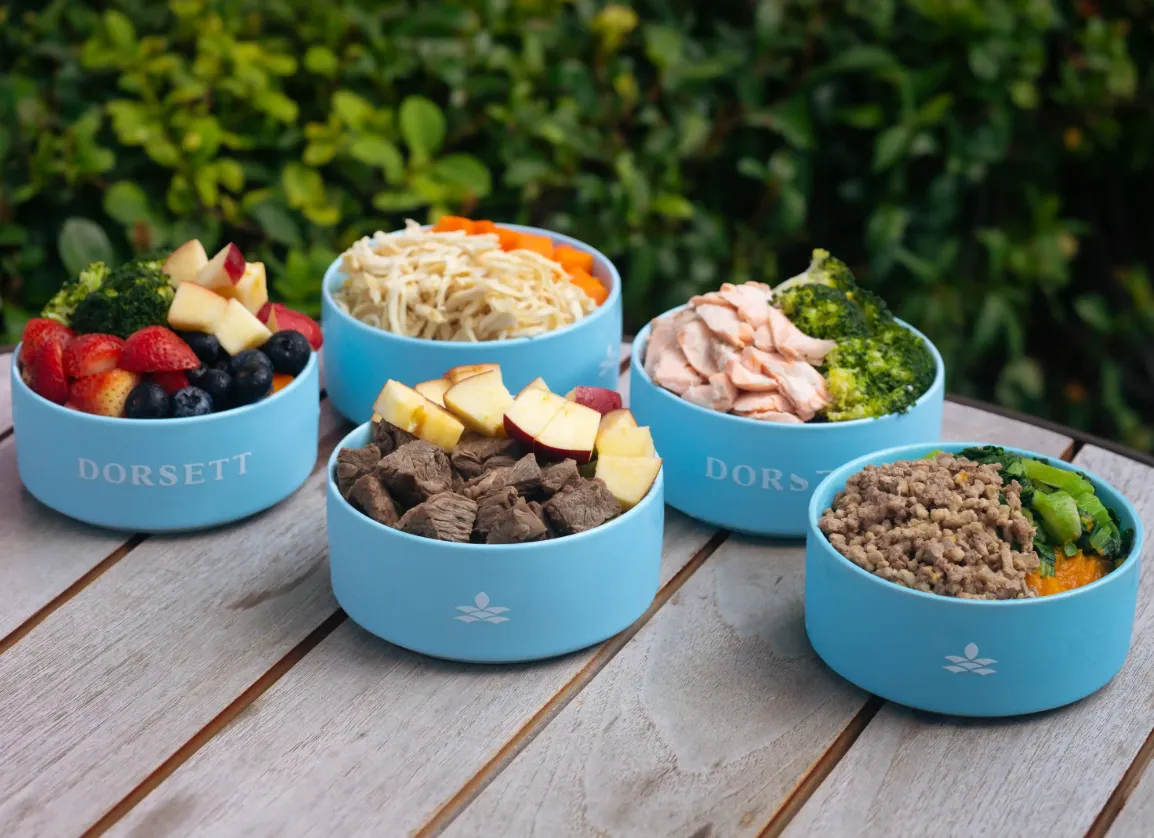 Pet-Friendly Dining- Outdoor Dining Area