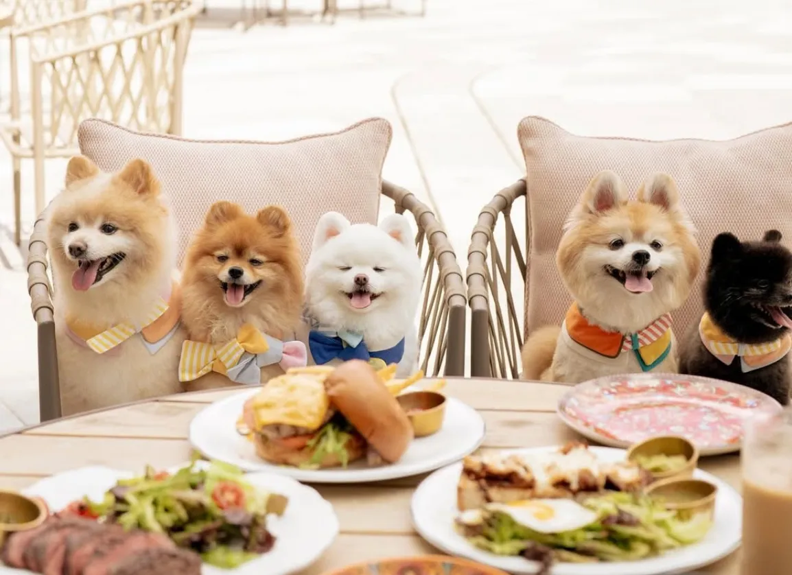 Pet-Friendly Dining - Indoor & Outdoor Dining Area