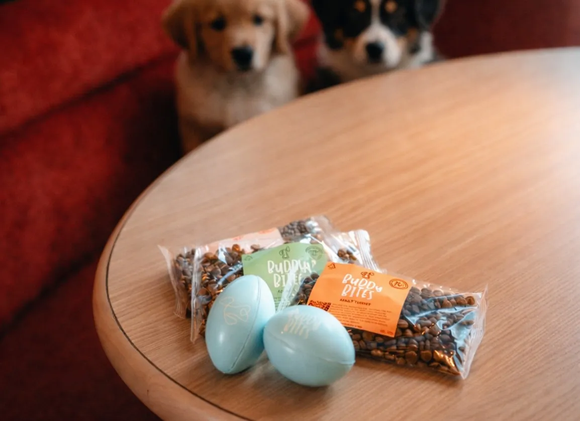 Pet-Friendly Dining - Indoor & Outdoor Dining Area
