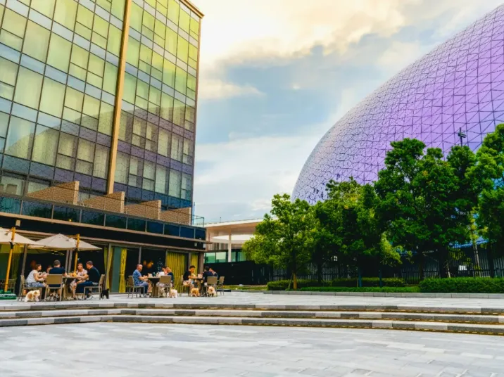 Pet-Friendly Dining- Outdoor Dining Area