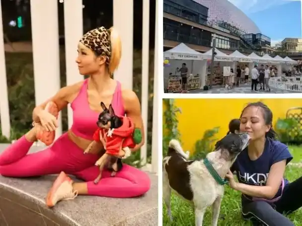 Paws for a Cause Adoption Day