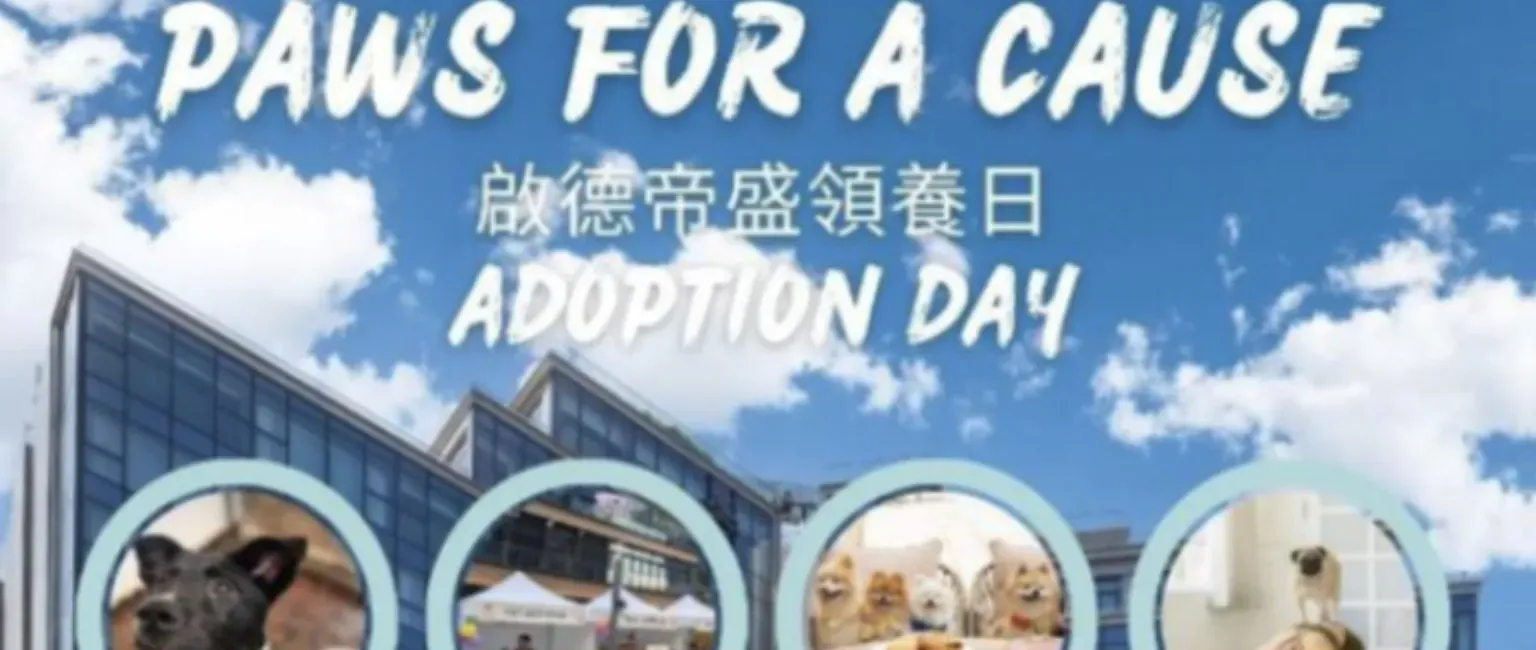 PAWS FOR A CAUSE! Dorsett Kai Tak Hosts Pet Adoption Day with Hong Kong Dog Rescue