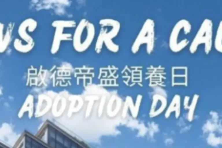 PAWS FOR A CAUSE! Dorsett Kai Tak Hosts Pet Adoption Day with Hong Kong Dog Rescue