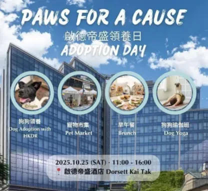 PAWS FOR A CAUSE! Dorsett Kai Tak Hosts Pet Adoption Day with Hong Kong Dog Rescue