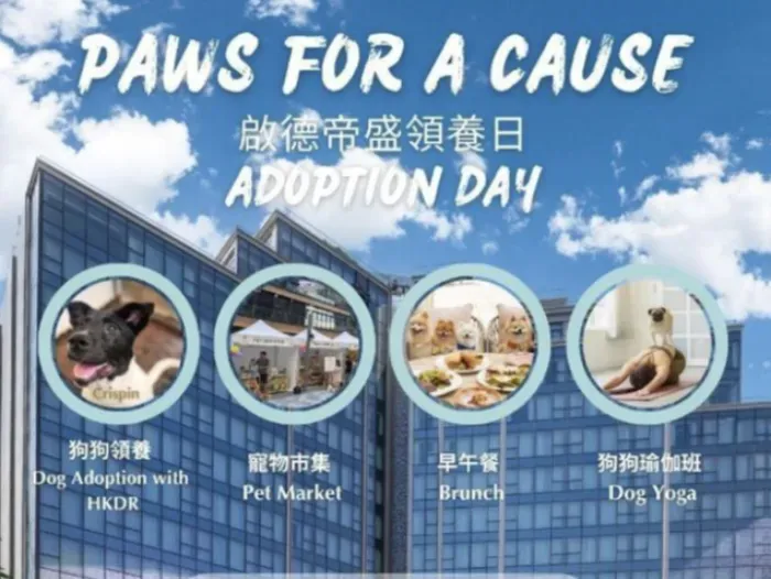 PAWS FOR A CAUSE! Dorsett Kai Tak Hosts Pet Adoption Day with Hong Kong Dog Rescue