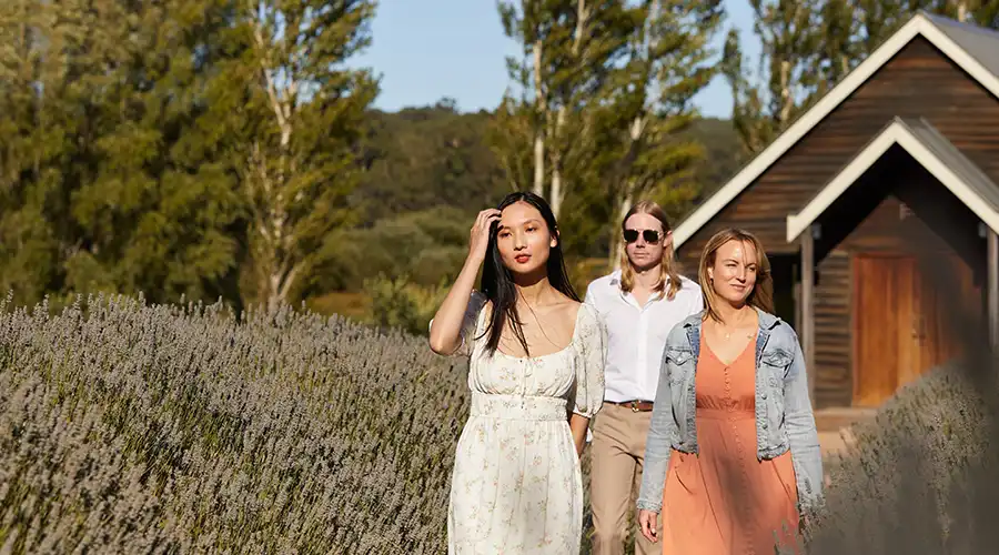 Three people stroll through a lavender field near a rustic wooden building, enjoying the peaceful scenery on a sunny day