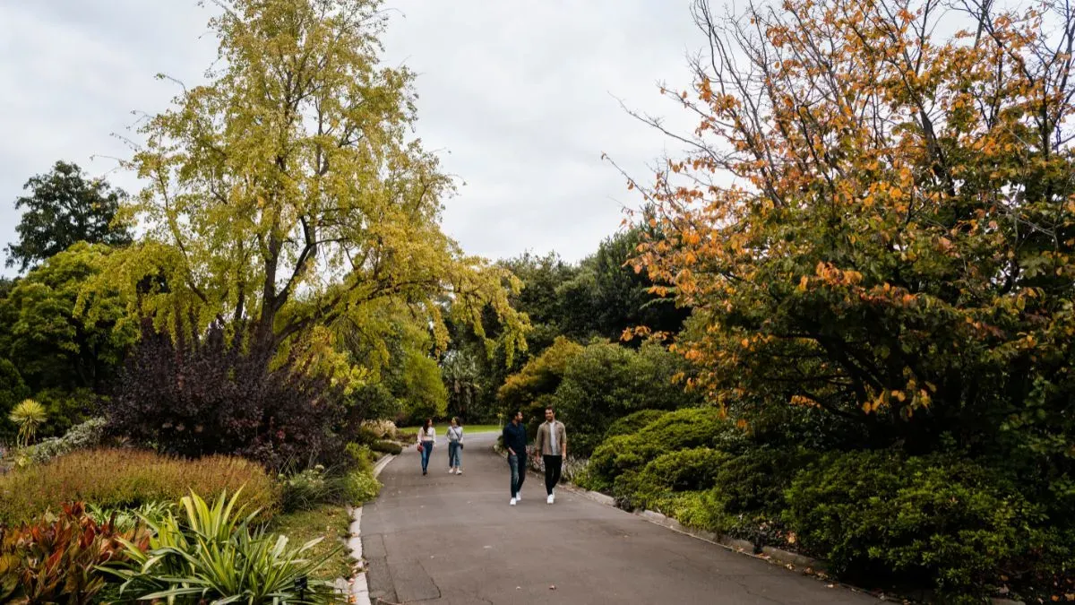 Autumn trees and walking path at Royal Botanic Gardens Melbourne