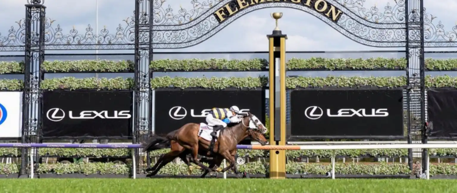 Your Complete Guide to the Melbourne Cup 2025