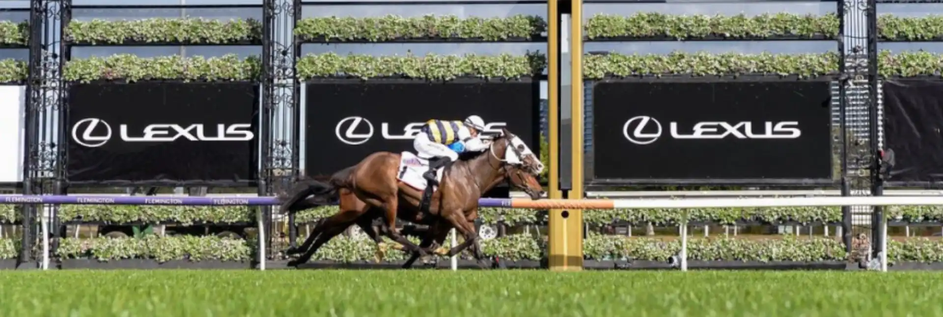 Your Complete Guide to the Melbourne Cup 2025