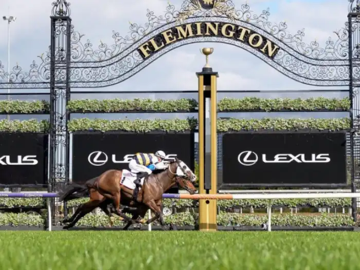 Your Complete Guide to the Melbourne Cup 2025