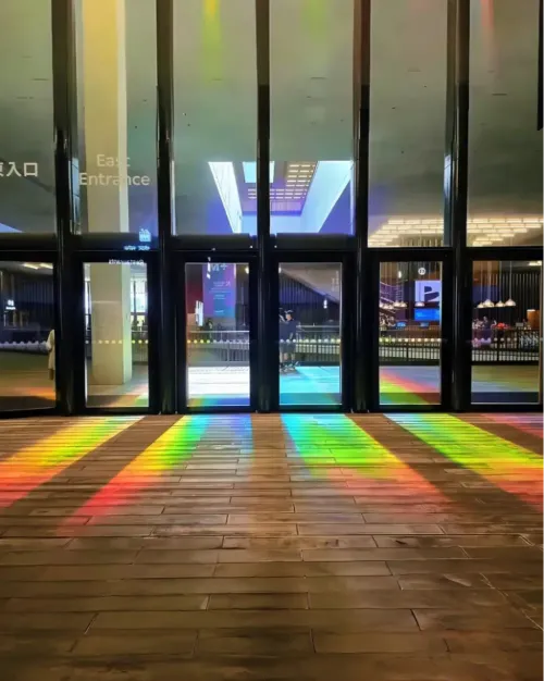 [免費穿梭巴士直達西九龍]《呼吸-2025》-金守子︰M+