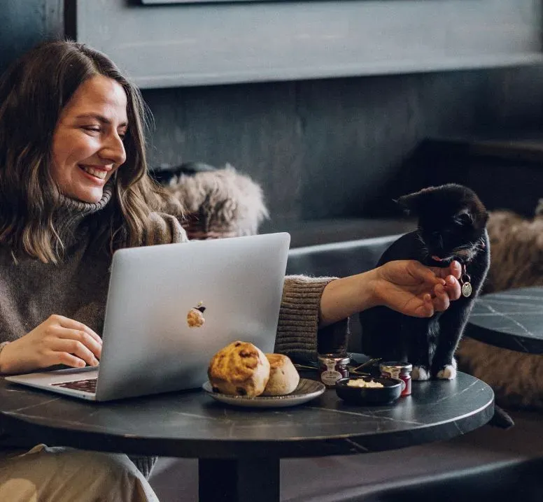 Purrfect Pause at Java Whiskers White City