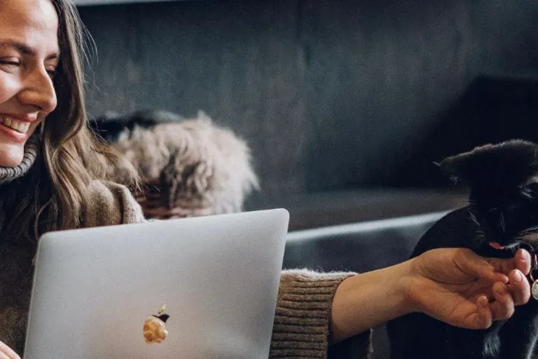 Purrfect Pause at Java Whiskers White City