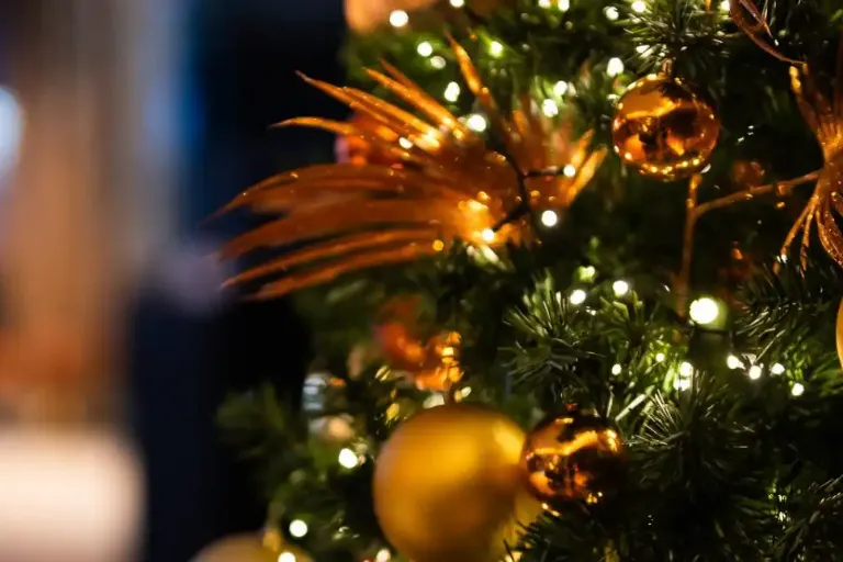 The Merry & Bright Party Package