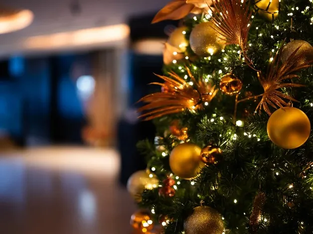 Festive Holiday Package