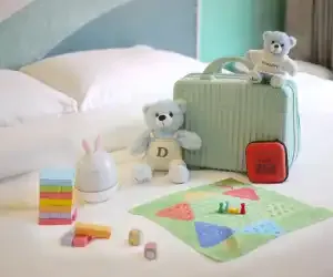 Baby Gear Rentals