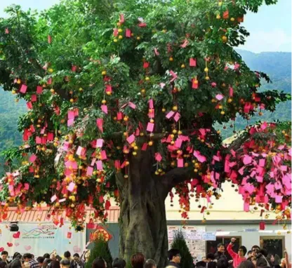 Lam Tsuen Wishing Trees