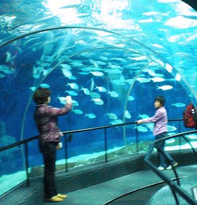  上海海洋水族馆