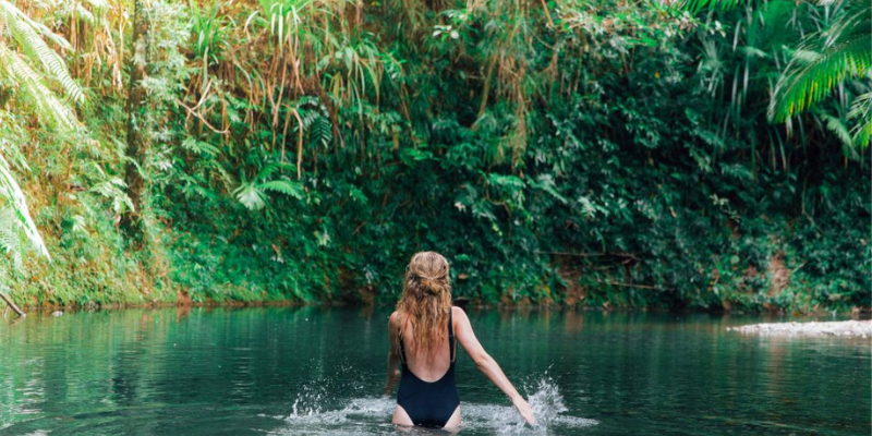 swimming rainforest pool