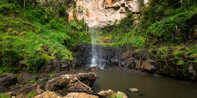 waterfalls springbrook national park