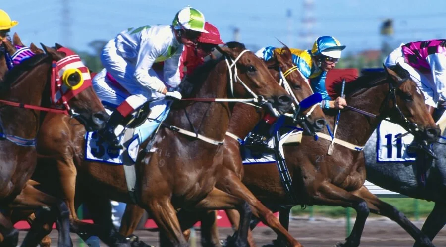 Horses Racing in Melbourne