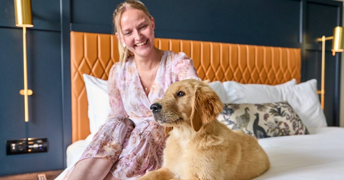 The Pawfect Pet-friendly Melbourne Vacay Awaits