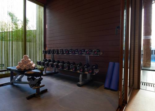 健身室配有一系列專業的健身器材
